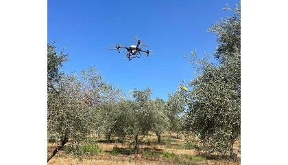 Foto de Biotecnología de precisión y servicios con drones: La nueva frontera de la agricultura sostenible