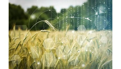 Foto de Orisha Agrifood agrupa bajo la marca NORA sus soluciones digitales para el sector agroalimentario