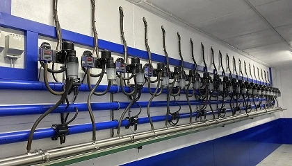 Foto de El mercado gira al alza y garantiza mejores precios para la leche de oveja en verano