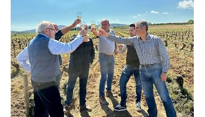 Foto de Viticultors del Cava gana las elecciones al censo B de productores de la DOP Cava