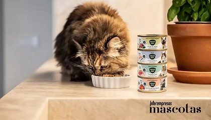 Foto de Alimento húmedo en perros y gatos: De “capricho” a herramienta nutricional estratégica