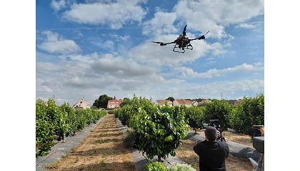 Foto de Drones para detectar plagas, IA y sensores para optimizar fertirriego, principales avances en agricultura de precisi�n