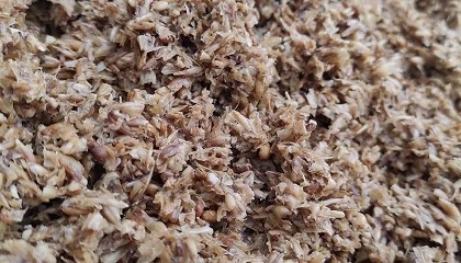 Foto de El proyecto BioSupPack valida el uso de residuos cerveceros para fabricar envases biobasados y reciclables
