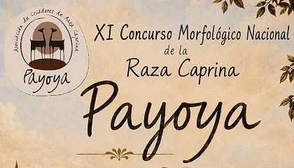 Foto de La Cabra Payoya celebra el 16 de mayo su XI Concurso Morfológico Nacional