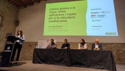 Foto de El sector vitivin�cola analiza la innovaci�n gen�mica para avanzar hacia un vi�edo m�s resiliente y competitivo