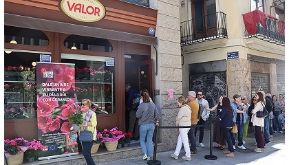 Foto de València reparte mil geranios gratuitos en una iniciativa que reivindica la tradición floral mediterránea