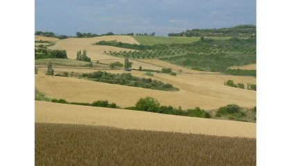 Foto de IBMA Espa�a pide aprobar el paquete �mnibus de simplificaci�n para acelerar el biocontrol en Europa