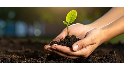 Foto de Sanidad vegetal: un compromiso esencial con la agricultura sostenible