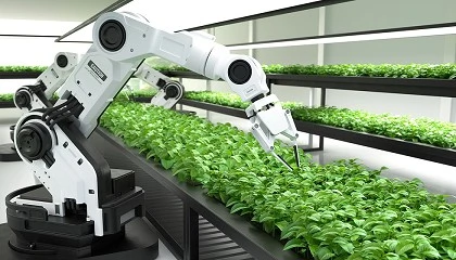 Foto de Componentes ISB para la industria alimentaria: tecnolog�a al servicio de la producci�n
