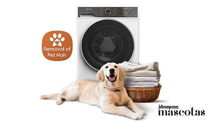 Foto de Hotpoint lanza Pet Hair Care, la primera tecnología de lavado destinada a hogares con mascotas
