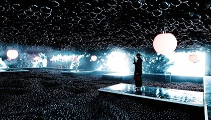 Foto de La luz como contexto narrativo en �Euphoria - Art is in the Air�