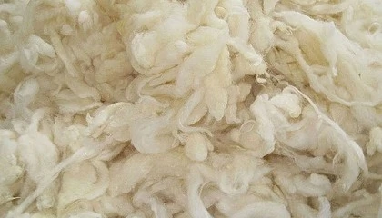 Foto de La Comunidad Valenciana impulsa el uso de lana de oveja como fertilizante en suelos agr�colas
