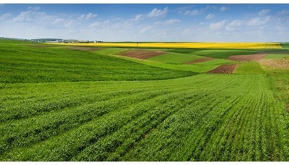 Foto de Ayudas FEGA 2025: importes definitivos para agricultura y ganader�a