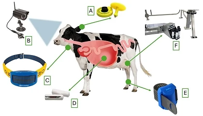Foto de Sensores, robots e IA: herramientas digitales para mejorar la salud y el manejo del reba�o lechero