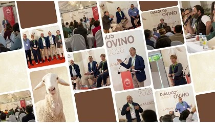Foto de Syva celebra su primera edición de los ‘Diálogos sobre el Ovino’ en Castilla-La Mancha