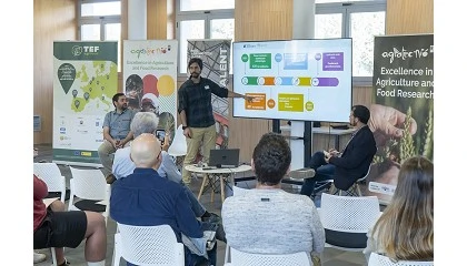 Foto de Agricultura de precisi�n y control biol�gico para combatir la ara�a roja en ma�z