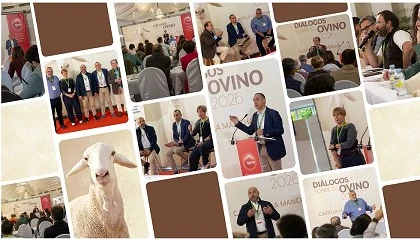 Foto de Syva celebra su primera edición de los ‘Diálogos sobre el Ovino’ en Castilla-La Mancha