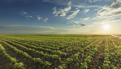 Foto de La orden de m�dulos establece reducciones en el IRPF para 800.000 agricultores y ganaderos