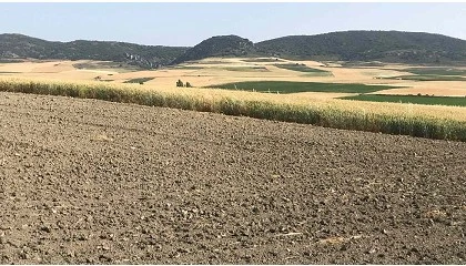 Foto de Las transmisiones de fincas r�sticas crecieron un 4,3% interanual en marzo
