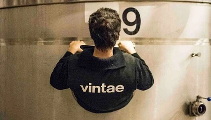 Foto de Vintae presenta un plan de reestructuraci�n con la banca para salvar Bodegas Riojanas