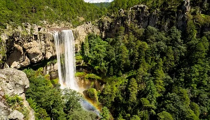 Foto de Ya disponible el recorrido de la primera aventura Titan en M�xico