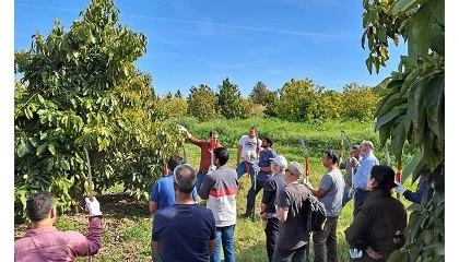 Foto de El Ifapa desarrolla durante 2026 un amplio calendario de cursos en Producci�n Integrada en Andaluc�a