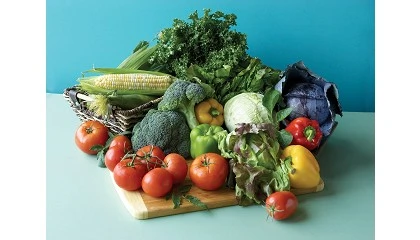 Foto de Espa�a exporta m�s hortalizas y menos frutas en el primer trimestre, que descendi� un 1% en volumen