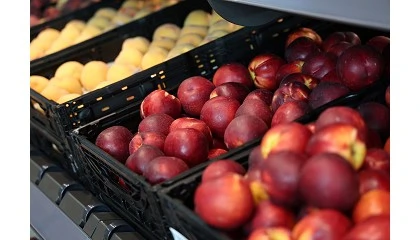 Fotografia de El 83% de las empresas hortofrut�colas prev� incrementar sus ventas en 2026