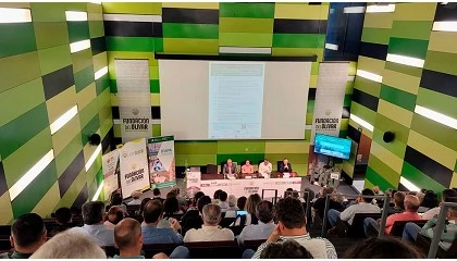 Foto de El IFAPA presenta tres nuevas variedades de olivo resistentes a la verticilosis