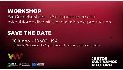 Foto de �BioGrapeSustain� leva ao ISA debate sobre diversidade da videira e do microbioma