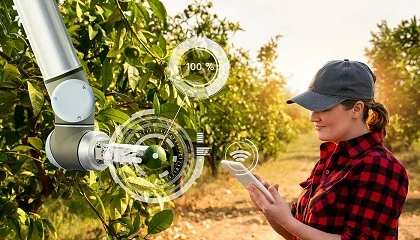 Foto de AgriFood4Future abre candidaturas para empresas agroalimentares desenvolverem inova��o com startups