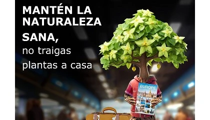 Foto de Nueva campaña de EFSA en España para concienciar a la ciudadanía sobre la sanidad vegetal