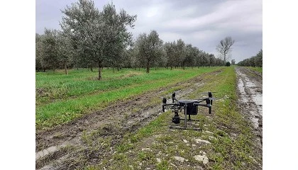 Foto de La conectividad se convierte en un factor clave para el futuro de la agricultura europea