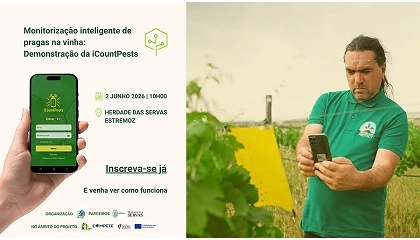 Foto de Nova app de monitoriza��o autom�tica de pragas para produtores e t�cnicos agr�colas