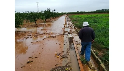 Foto de La superficie de cultivo siniestrada crece un 82% hasta abril