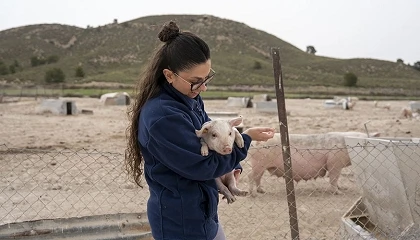Foto de Zoetis lanza ‘Referentes Invisibles’ como parte de la iniciativa Ganadería en Femenino