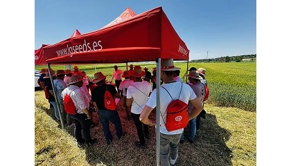 Foto de Semillas LG presenta en Valladolid su apuesta por la innovaci�n en colza y cereal