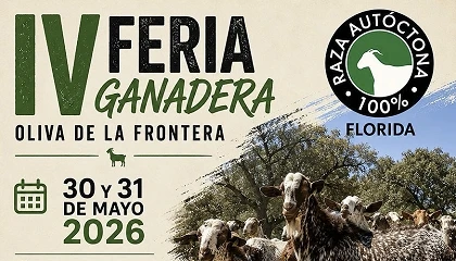 Foto de La cabra Florida estará representada en la XVII Feria de la Dehesa de Oliva de la Frontera