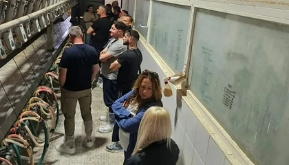 Foto de Ganaderos y veterinarios griegos se interesan por la genética y el manejo de la raza Florida