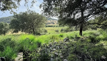 Foto de Nestl� Waters restaura tres turberas clave en la Reserva de la Biosfera de La Siberia