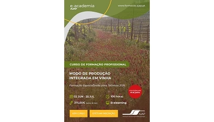 Foto de Curso para t�cnicos de �Modo de Produ��o Integrada em Vinha�