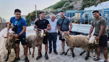 Foto de Ganaderos de Loje�a visitan Marruecos y Ceuta para analizar el mercado del cordero