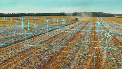 Foto de SFCOLAB integra cons�rcio europeu que quer levar intelig�ncia artificial e edge computing para a agricultura