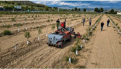 Foto de ID David y Mula prueban maquinaria automatizada en cultivos le�osos