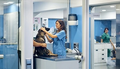 Foto de El negocio de las cl�nicas veterinarias sigue al alza, superando en 2025 los 2.000 millones de euros