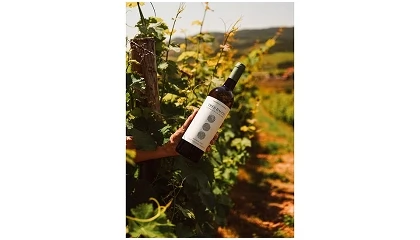 Foto de Lavradores de Feitoria lan�a Tr�s Bagos Sauvignon Blanc 2025 com imagem renovada