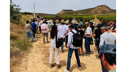 Foto de M�s de 400 asistentes profesionales confirman el �xito de DemoAlmendro 2026