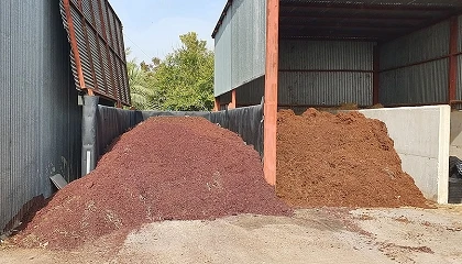 Foto de Nuevos alimentos para peque�os rumiantes a partir del ensilado de orujo de uva blanca