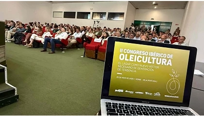 Foto de La Pen�nsula Ib�rica consolida un modelo ole�cola cada vez m�s t�cnico, eficiente y conectado
