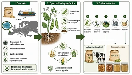Foto de Variedades tradicionales de guisante para una producci�n proteica m�s resiliente
